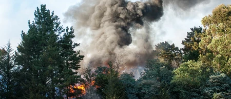 PREVENTION DES FEUX DE FORÊT 