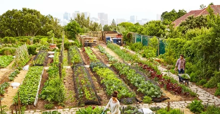 La préservation des jardins familiaux face à la pression foncière