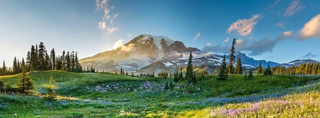 Préservation du milieu montagnard et conservation des espèces animales